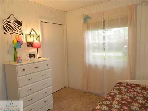 12685 Kruger Ln, Dewitt, MI 48820 photo 12