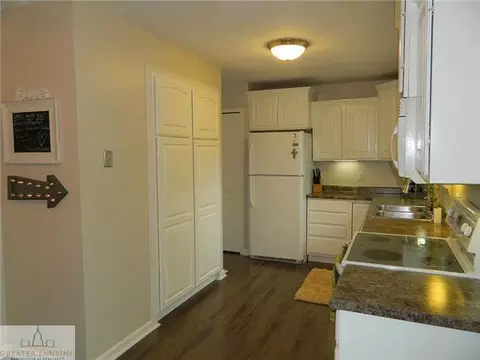 12685 Kruger Ln, Dewitt, MI 48820 photo 4