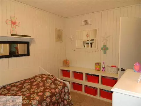 12685 Kruger Ln, Dewitt, MI 48820 photo 11