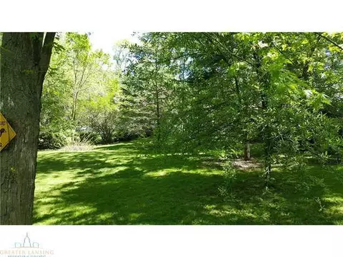 308 Pine St, Dimondale, MI 48821 photo 6