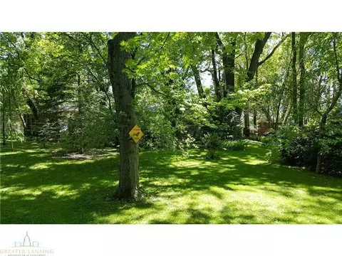 308 Pine St, Dimondale, MI 48821 photo 4
