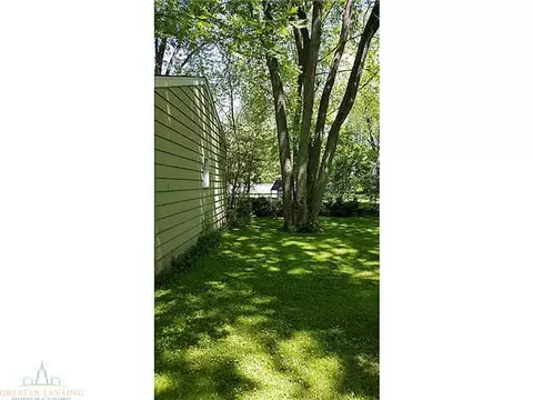 308 Pine St, Dimondale, MI 48821 photo 7