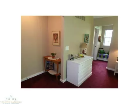 220 E Bailey Cir, Mason, MI 48854 photo 19
