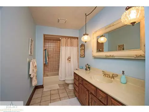 4690 Smith Rd, Dimondale, MI 48821 photo 21
