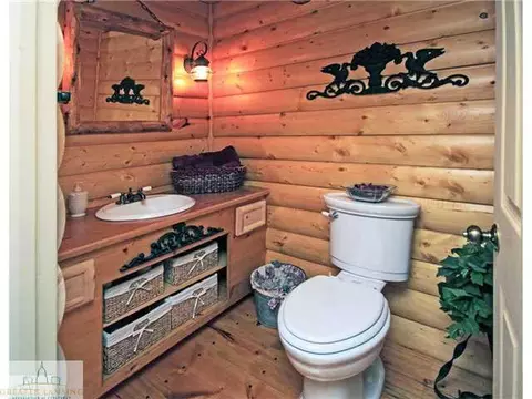 4690 Smith Rd, Dimondale, MI 48821 photo 24