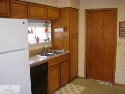 107 E Gibbs St, Saint Johns, MI 48879 photo 4