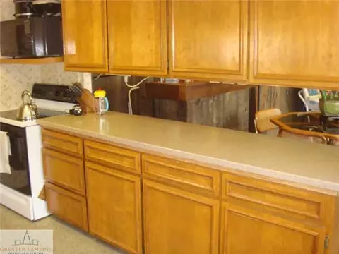 107 E Gibbs St, Saint Johns, MI 48879 photo 5