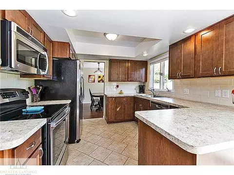 13049 Appletree Ln, Dewitt, MI 48820 photo 6