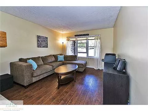 13049 Appletree Ln, Dewitt, MI 48820 photo 11