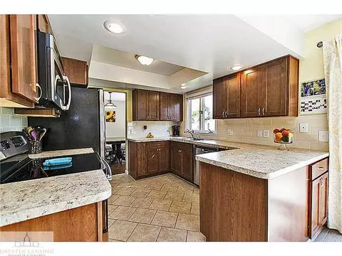 13049 Appletree Ln, Dewitt, MI 48820 photo 9