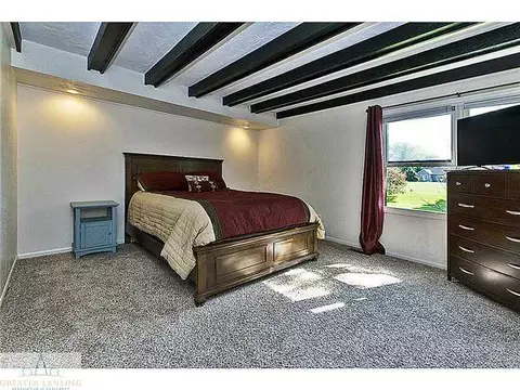 13049 Appletree Ln, Dewitt, MI 48820 photo 13