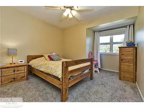 13049 Appletree Ln, Dewitt, MI 48820 photo 18