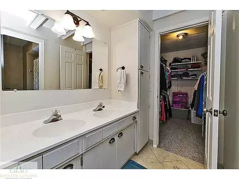 13049 Appletree Ln, Dewitt, MI 48820 photo 15