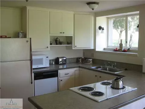 9877 State Rd, Haslett, MI 48840 photo 7