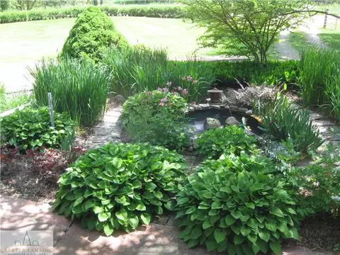 9877 State Rd, Haslett, MI 48840 photo 17