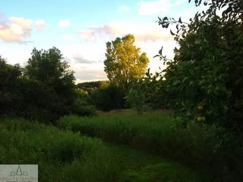 9877 State Rd, Haslett, MI 48840 photo 20