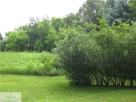 9877 State Rd, Haslett, MI 48840 photo 16