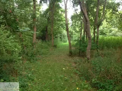 9877 State Rd, Haslett, MI 48840 photo 23