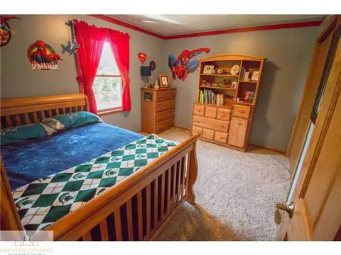 13122 Watercrest Dr, Dewitt, MI 48820 photo 16