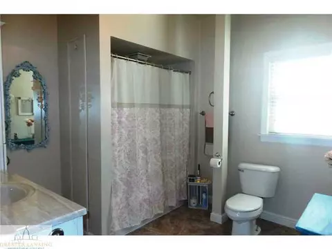 309 E Washington St, Dimondale, MI 48821 photo 15