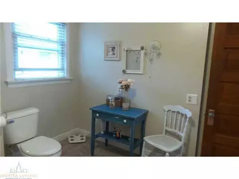 309 E Washington St, Dimondale, MI 48821 photo 16