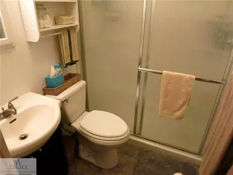 3684 E Round Lake Rd, Dewitt, MI 48820 photo 22