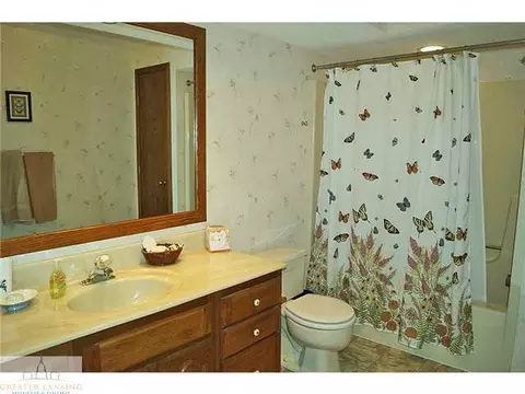 12233 Airport Rd, Dewitt, MI 48820 photo 20