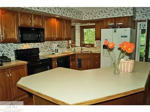 12233 Airport Rd, Dewitt, MI 48820 photo 4