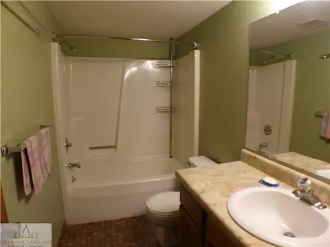 342 Corral Path, Lansing, MI 48917 photo 12