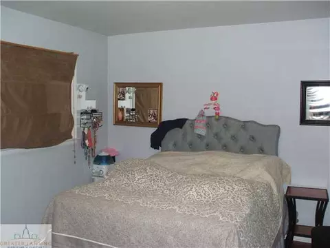 411 E Baldwin St, Saint Johns, MI 48879 photo 9