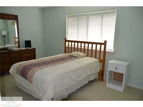 5886 Okemos, Haslett, MI 48840 photo 19