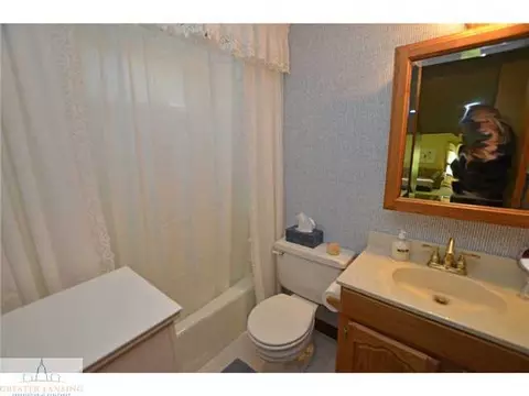 13909 Upton Rd, Bath, MI 48808 photo 19