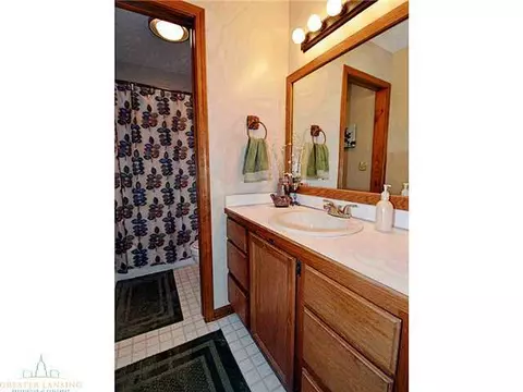 2360 Pine Tree Rd, Holt, MI 48842 photo 18