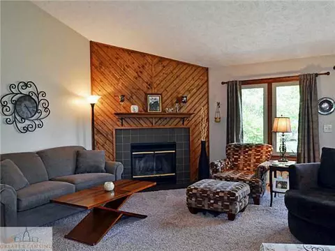 2360 Pine Tree Rd, Holt, MI 48842 photo 3