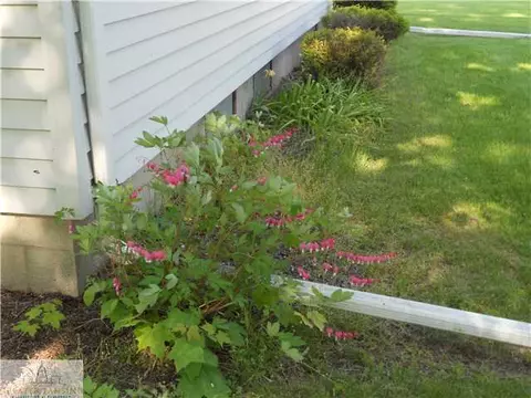 12923 Rambler Rd, Dewitt, MI 48820 photo 20