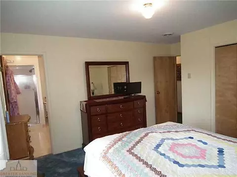 10485 Pioneer Rd, Eagle, MI 48822 photo 13