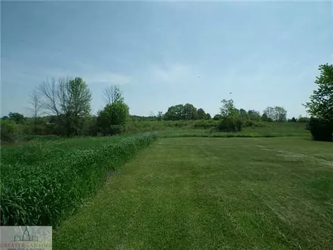 10485 Pioneer Rd, Eagle, MI 48822 photo 22