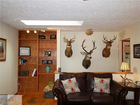 11085 Watson Rd, Bath, MI 48808 photo 5