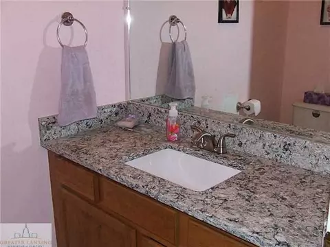 329 S Dibble Blvd, Lansing, MI 48917 photo 10