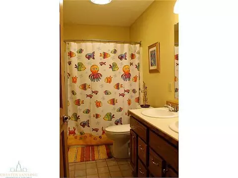 3675 Laureate Dr, Holt, MI 48842 photo 12