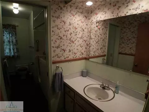 11800 Eden Trl, Eagle, MI 48822 photo 9
