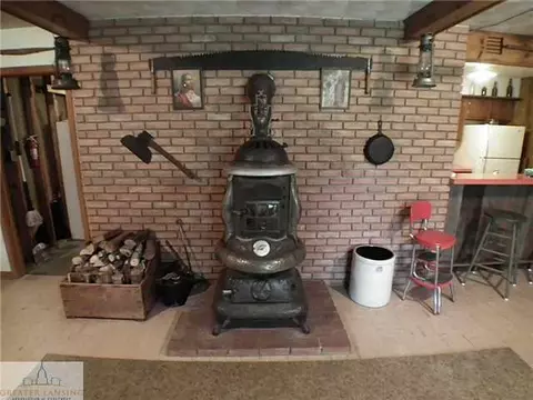11800 Eden Trl, Eagle, MI 48822 photo 16