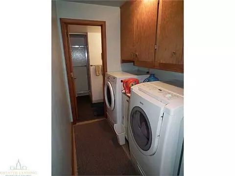 11800 Eden Trl, Eagle, MI 48822 photo 18