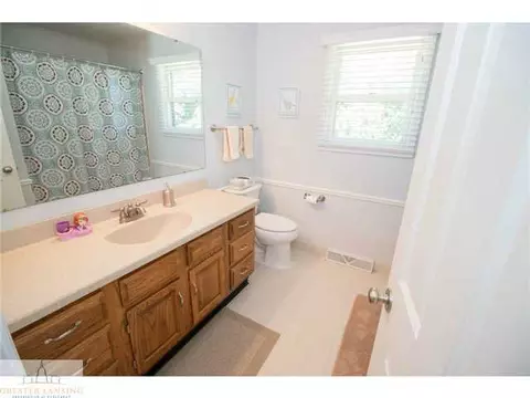 13095 Farm Ln, Dewitt, MI 48820 photo 14