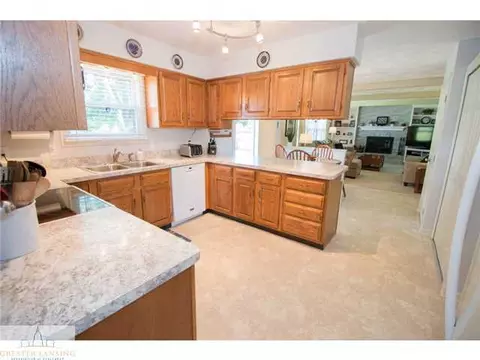 13095 Farm Ln, Dewitt, MI 48820 photo 16