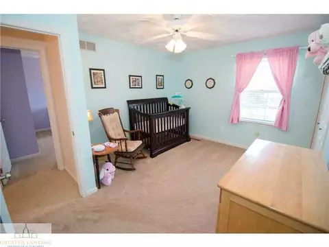 13095 Farm Ln, Dewitt, MI 48820 photo 13