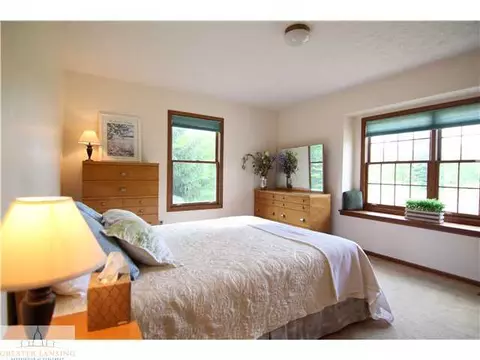 4405 Beeman Rd, Williamston, MI 48895 photo 11