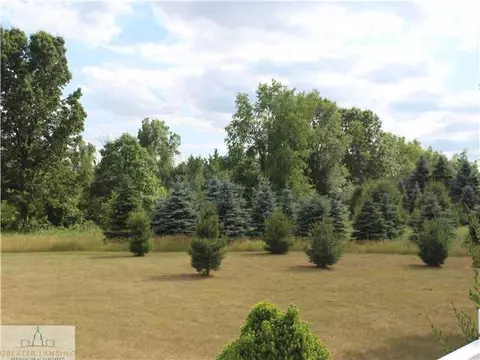 4769 W Bath Rd, Perry, MI 48872 photo 11