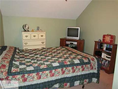 572 W Hayes Rd, Ithaca, MI 48847 photo 16