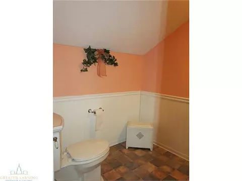 572 W Hayes Rd, Ithaca, MI 48847 photo 15